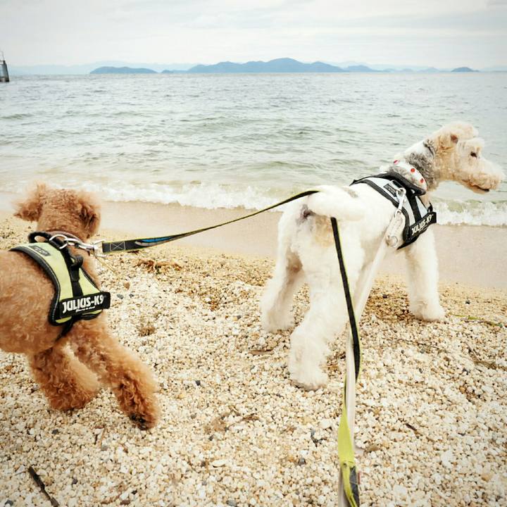 E568fb77 8ea9 46dc b6d5 8e171cea4029