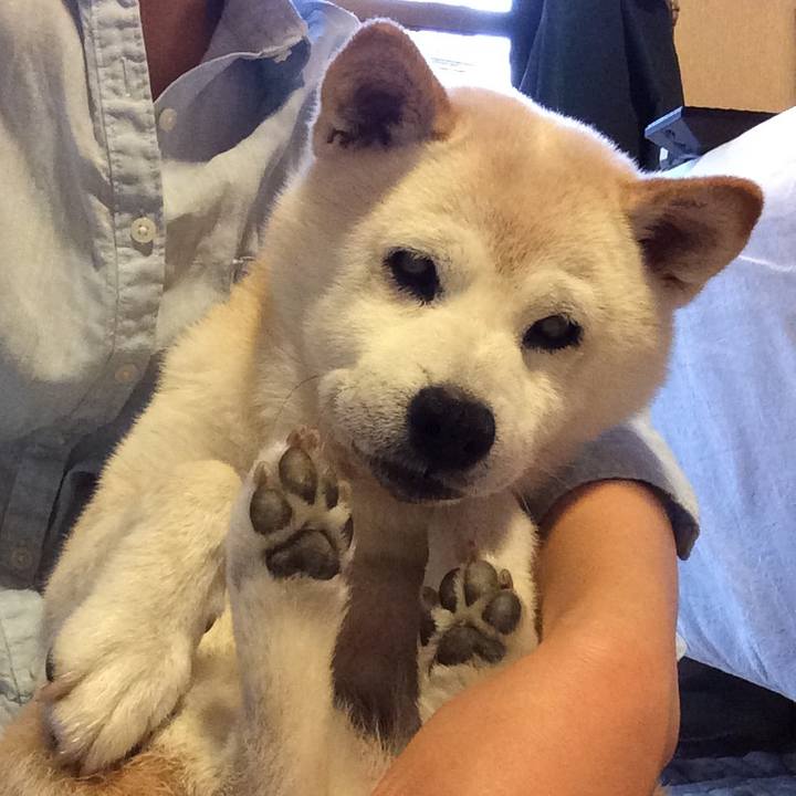 E5697b0d 5d17 475f abb0 9c60d2002a36