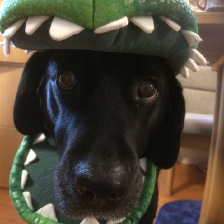 E569f9e5 96b5 427f a335 ed80d58d9420