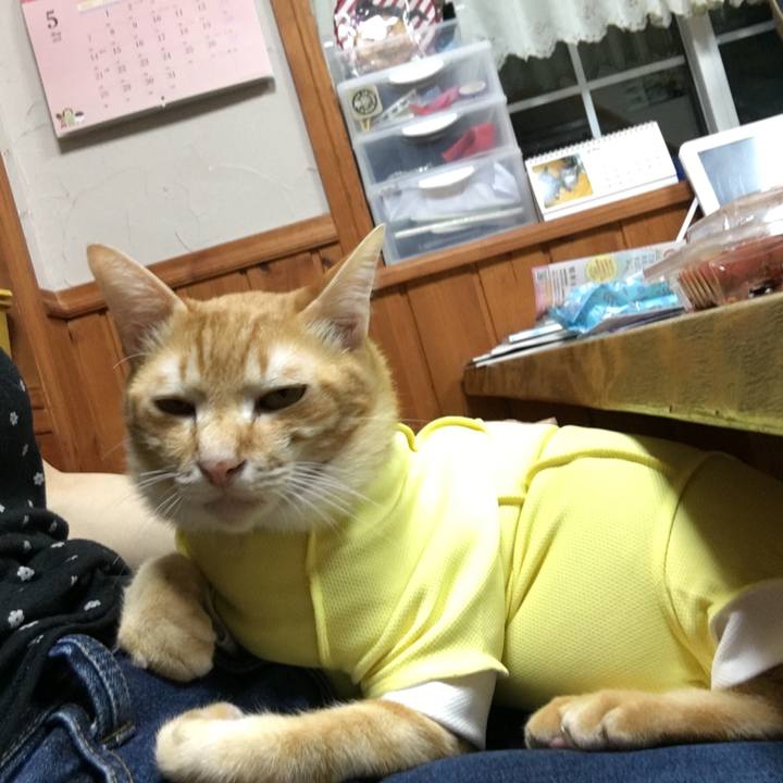 E56a73b4 eef9 464e a6f1 178471642bbf