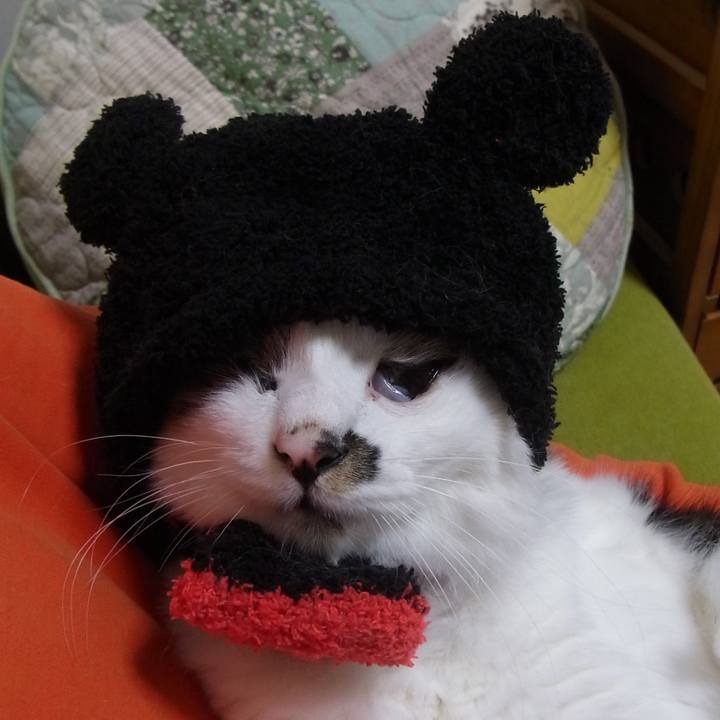 E56ac113 cf26 4f79 8ad2 d5bb660f3ca3