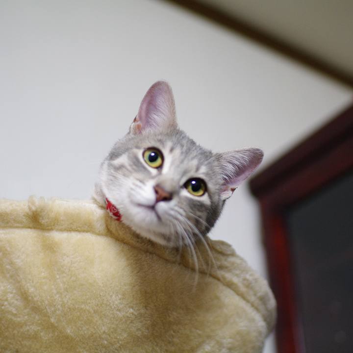 E56aecc6 6256 429d b615 cdfa8b1f57b2