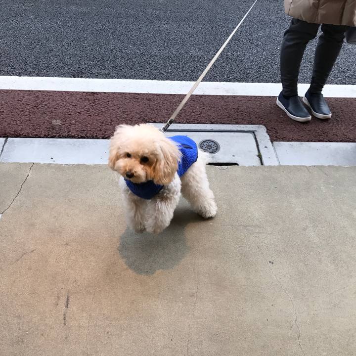 E56b0bf3 1a52 47d4 bdfd a965ca258e60