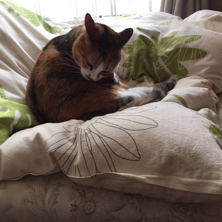 E56b2464 60be 42c3 a570 fba3907b6a3b