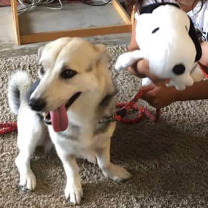 E56b33fe caed 4576 bd49 217c562e5262