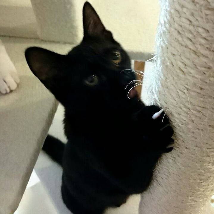 E56ba06e 8b41 4d09 ab88 82cd005132ce