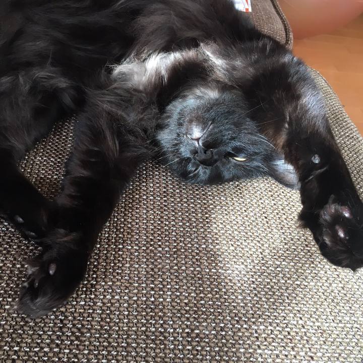 E56be835 8f8a 4fb1 b5fd 5f901dbc298f