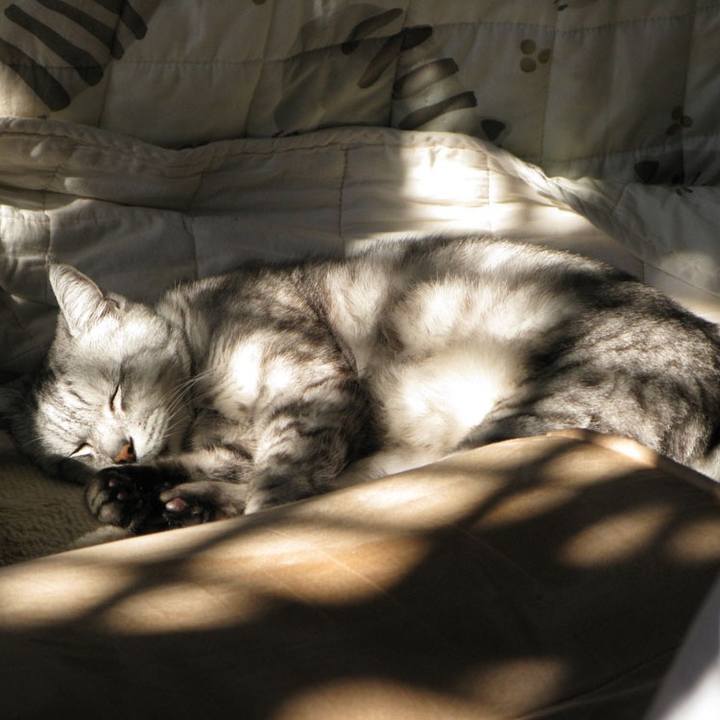 E56c1262 4d5b 4594 8090 0067e2863d15