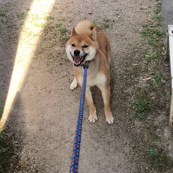 E56c8fa5 dff4 4299 988b b0fbb124fcc8