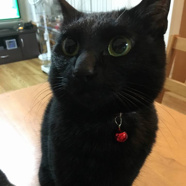 E56cda4d 64ea 4353 81cf eb67e3143dc9