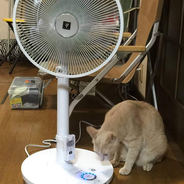 E56ce1d7 0895 4b6a ae62 f37869780b64