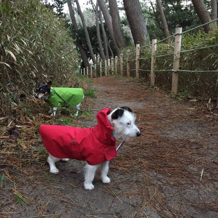 E56cf910 ac60 4d90 935e 49135a55e5b4