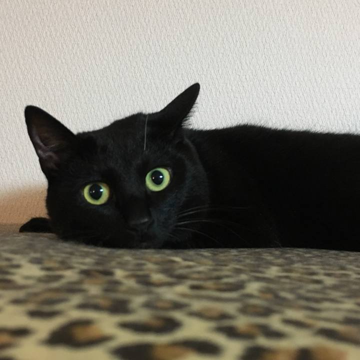 E56d90b8 431f 4930 b7bd 1d3726ffcbf5