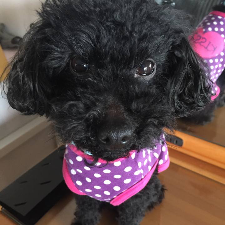 E56dc642 72fa 4b1a a5b1 6b17f4250b64