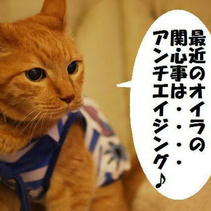 E56dd6b4 4754 4b7f 8390 3b6cef00690f