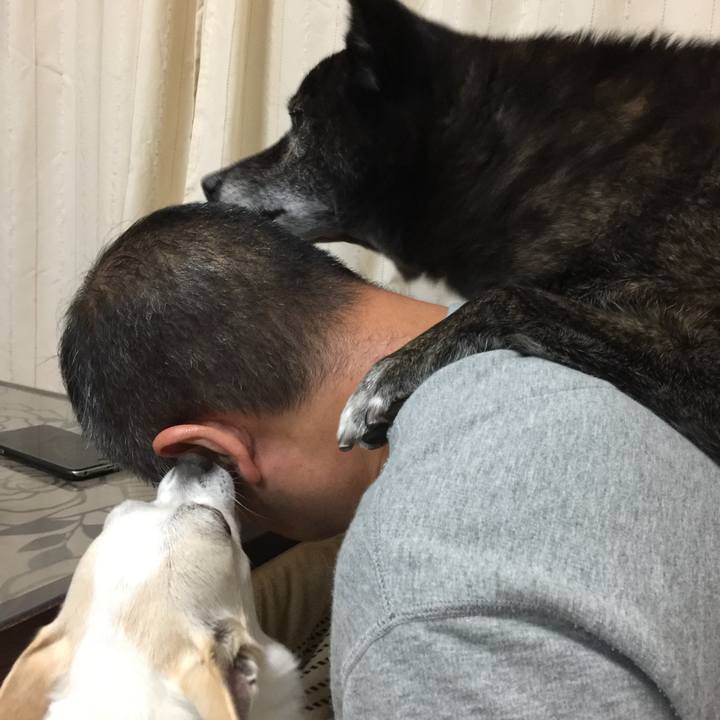 E56e1d43 0194 48ce a4ac 5aaf0363dbc3