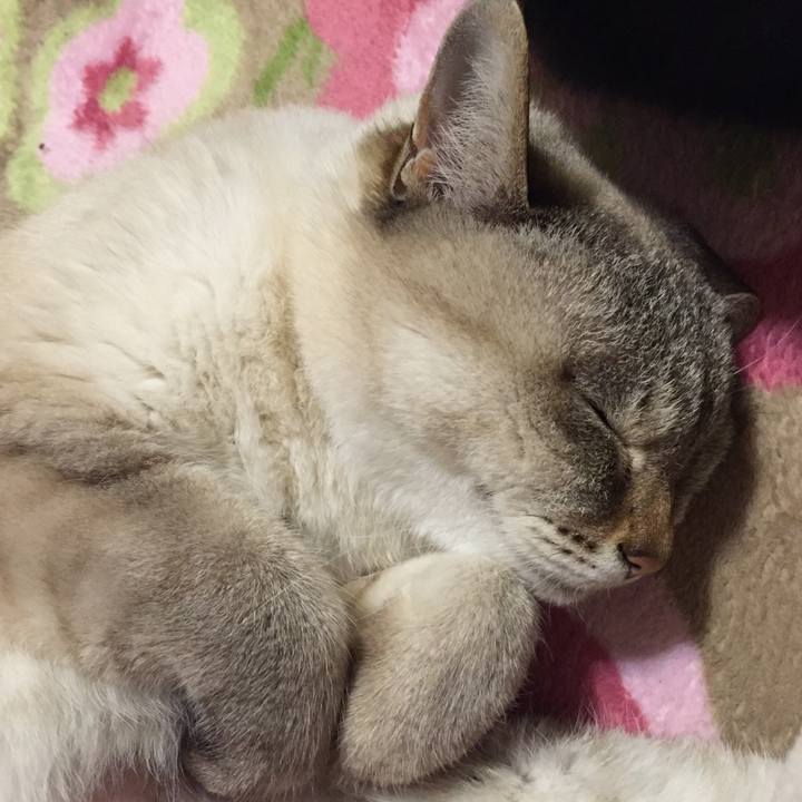 E56e5c41 ca54 42ab 81fc d08756217c8f