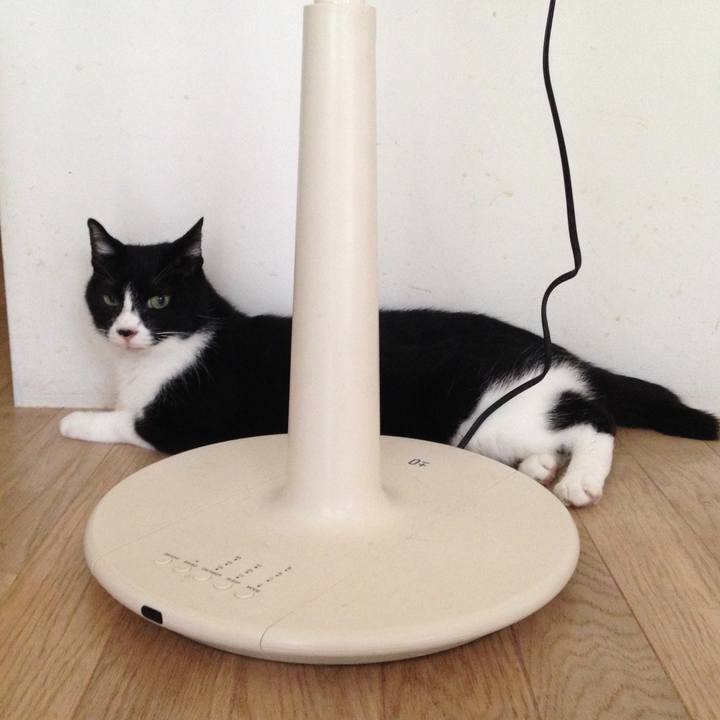 E56e7a65 006d 4557 8d27 97a8b9a3003e