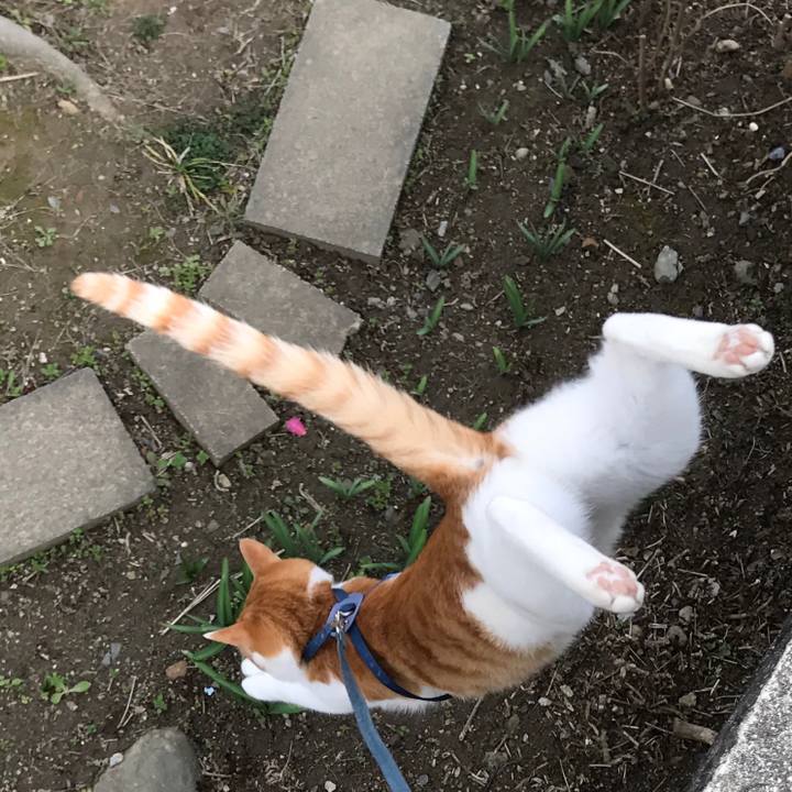 E56f1fa7 cbeb 4097 9ff7 756481bd56f2