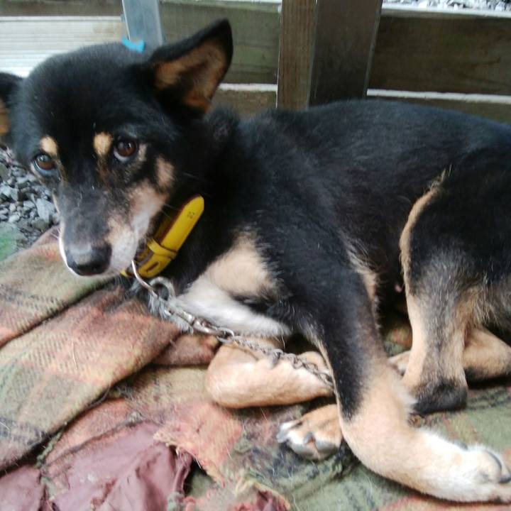 E5703a52 2afe 418a bdd2 f3e1a2ef0262