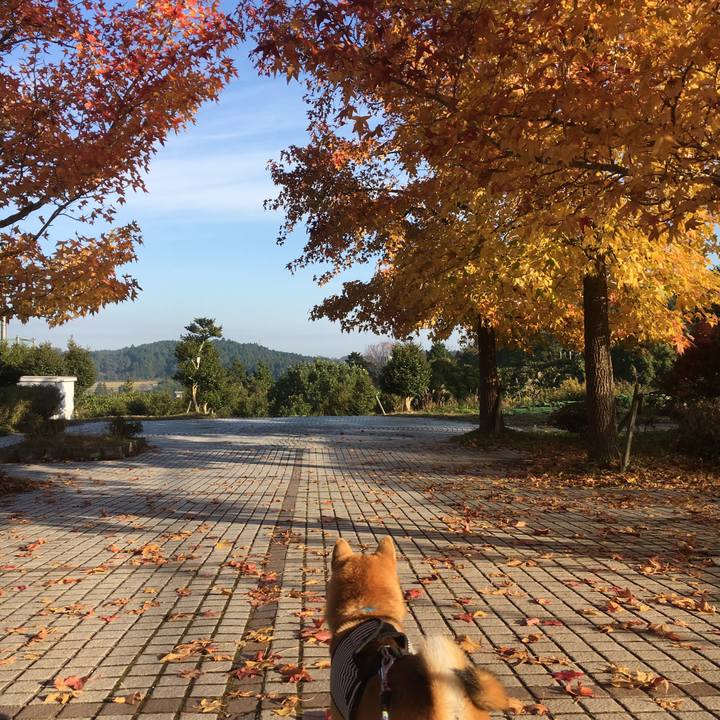 E5703d40 bc57 4bea 95ed 2902e8436a4d