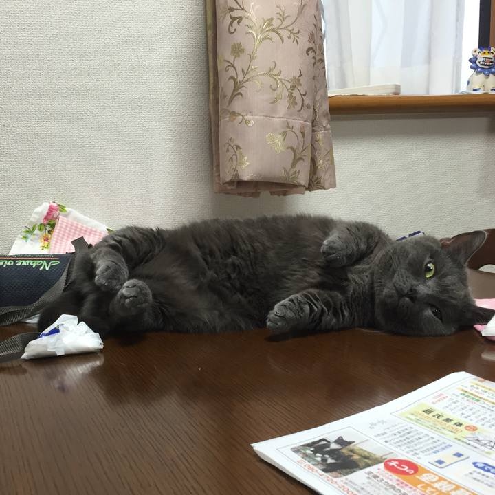 E5710bf6 f736 4665 8fbb 6d3c427d6a40