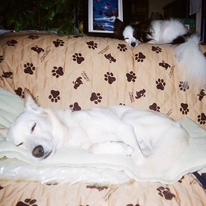 E57166dc ea31 4aae 911f 6db46c143403