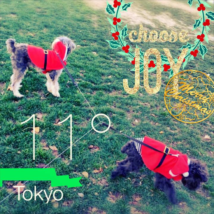 E571ed8d c9cc 44cf 941c 8b7170cbc563