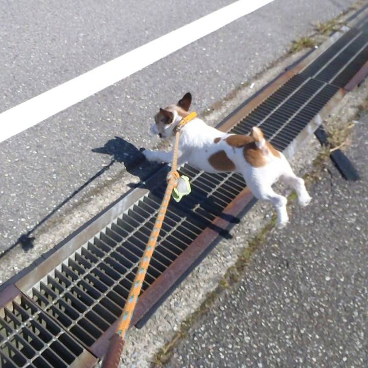 E5721223 3883 4bff 9dc4 89e15901f46e