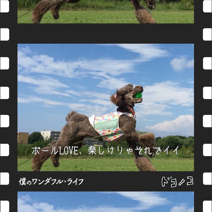 E572700c a6fd 41ae bc07 b23fb3e2f85d