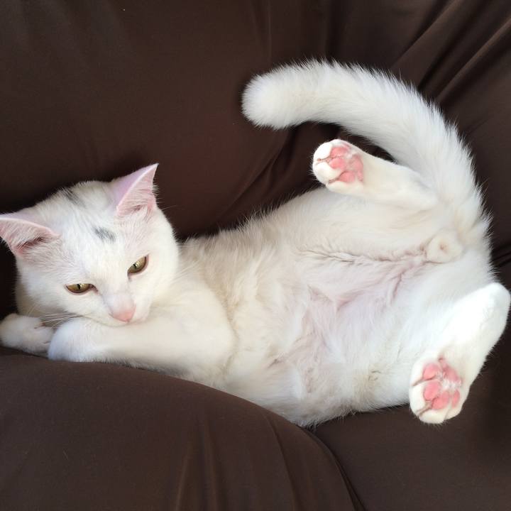 E572ff3a 5194 41dd b97e 5cbd91316201