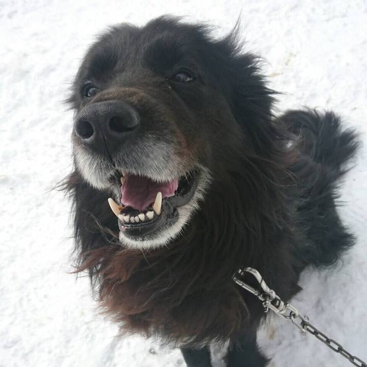 E57322ee 22b0 4974 8124 17f6ed073255