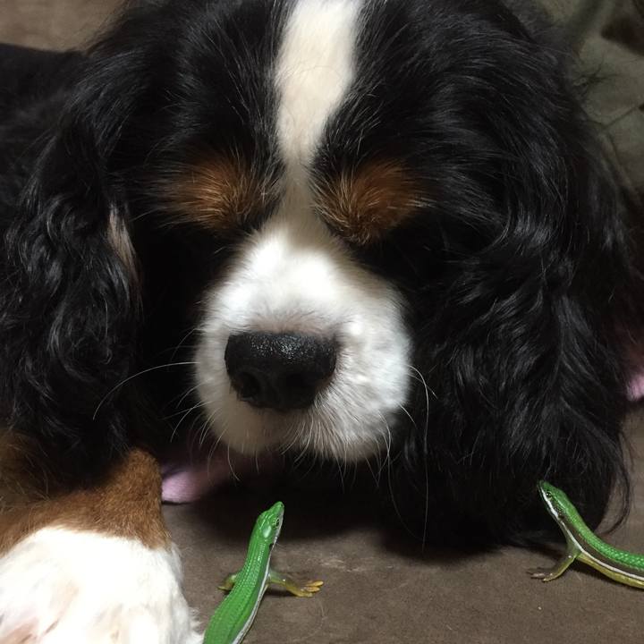 E5734748 6389 4973 ab3a 4ae07bc8a83c