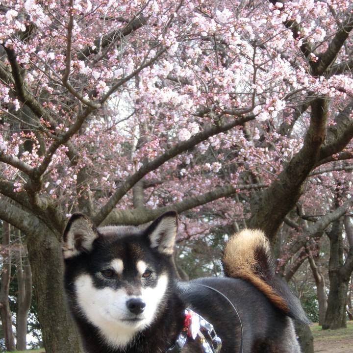 E574242e 8813 416f a3c7 98d1b69d0bc5