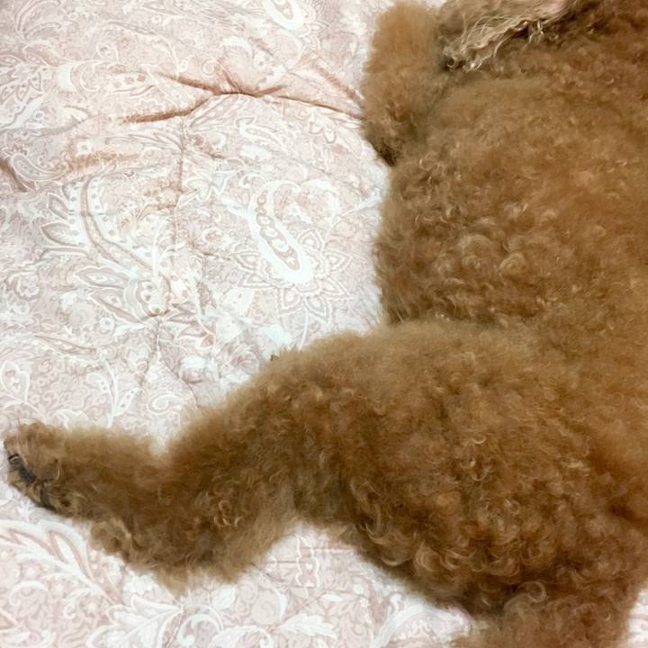 E57438c7 fb1e 4918 9a9d 4f00c969d986