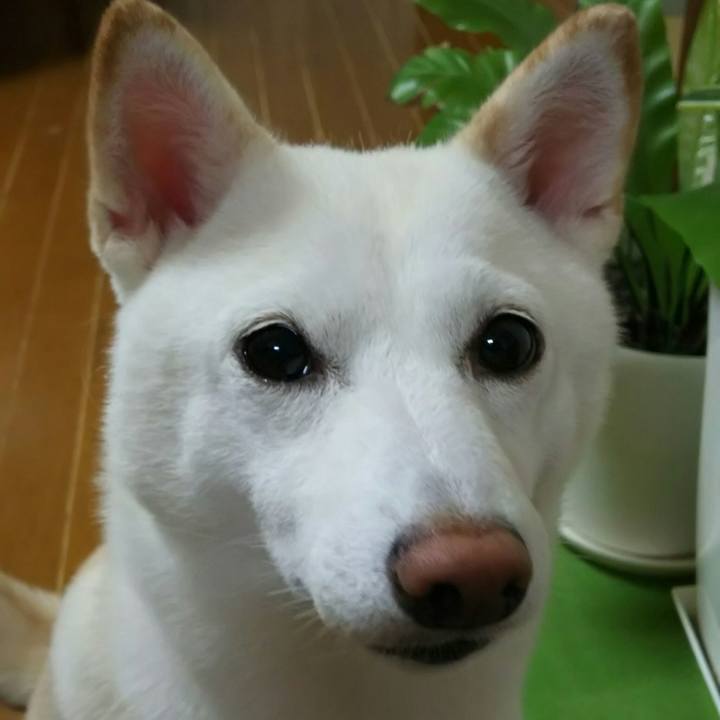 E574676e 3b46 47e9 ac6e 5128838e6b56