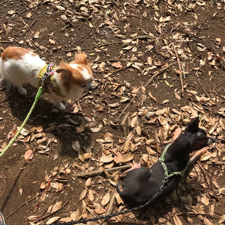 E574c0af a4d8 4aac 99ee 2121af56267e