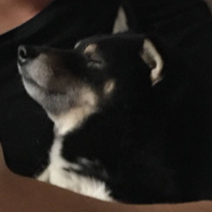 E575bb47 ea2b 429a b8c8 4cca4dabbc1e