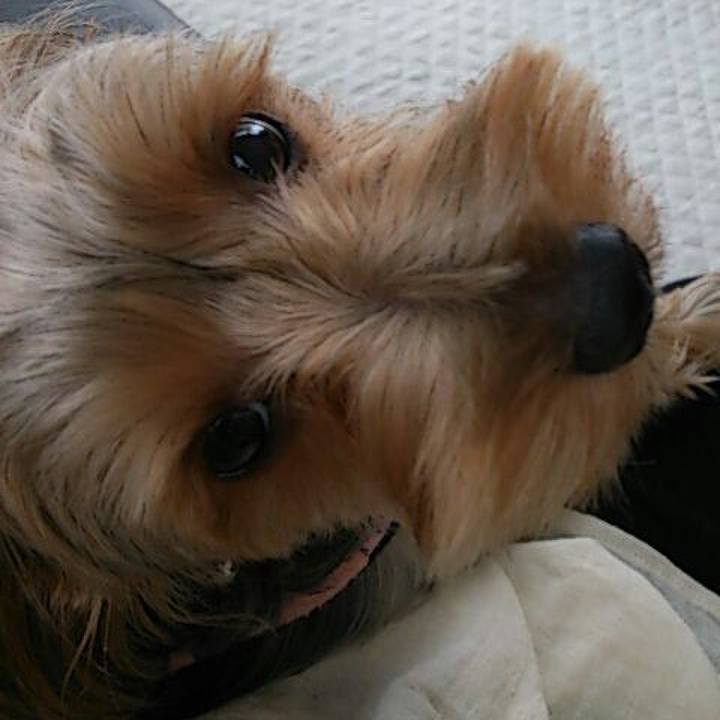 E57685d5 d71a 4a47 b995 adea9282806a