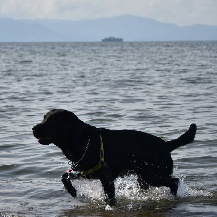 E576b6f3 85e5 4bb1 b5b8 567cebc4b96d