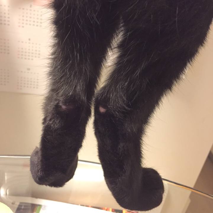 E576bf7d 0c1b 470a 94c9 de3a1c0979c2