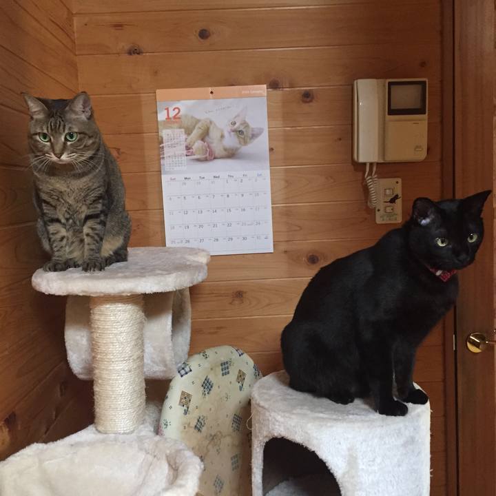 E57701ad 9173 4109 8d8c ef8d6c54cf49