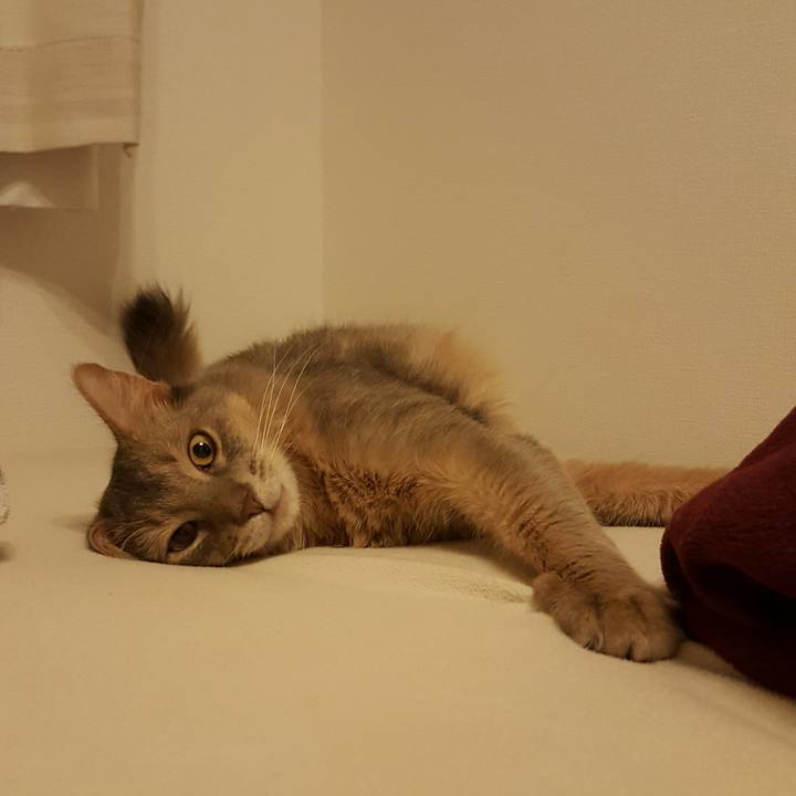 E577a2c7 679f 45f0 b238 eaee49309589