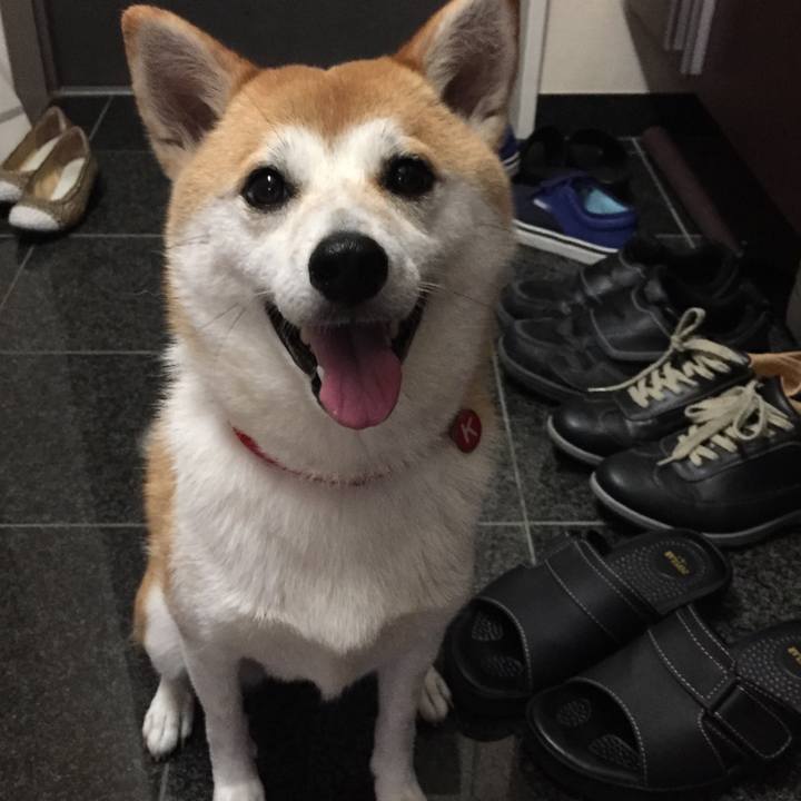 E577db9c 1211 4427 86c9 d7b251ce9ec3