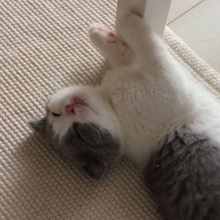 E577eb07 91e5 489b a125 d50875cfa3e5