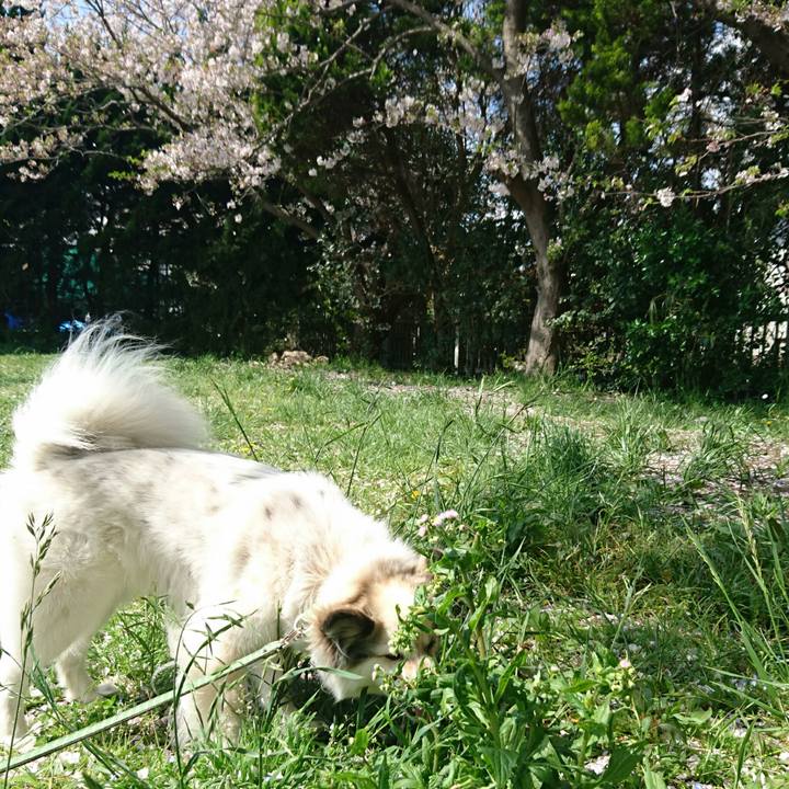 E579c831 ad4b 47f2 9a01 11bb69a48163