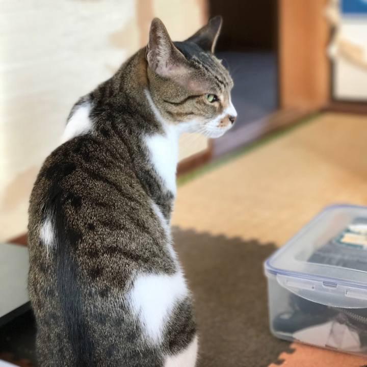 E57afe19 2b3d 49ca 9eeb c8b328d25923