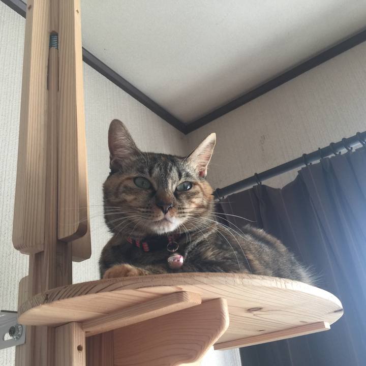 E57b4b3e 6caa 49a4 a1d2 bdc7f3149309