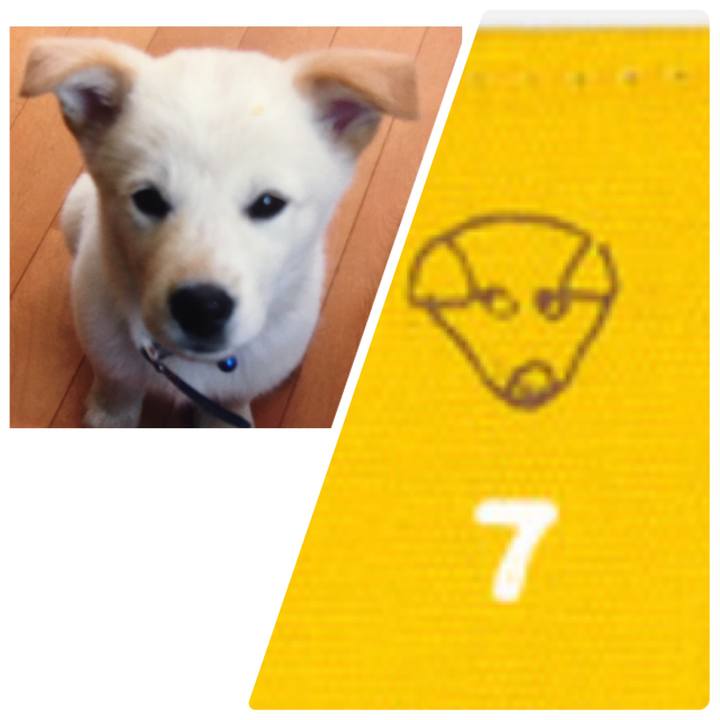 E57b6f7a 26c3 44d6 b21c 6dce8a1fd93d