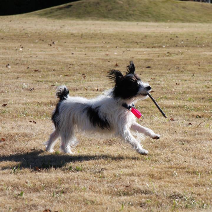 E57c12d1 7b7a 445b aeea abcabf2fadd9